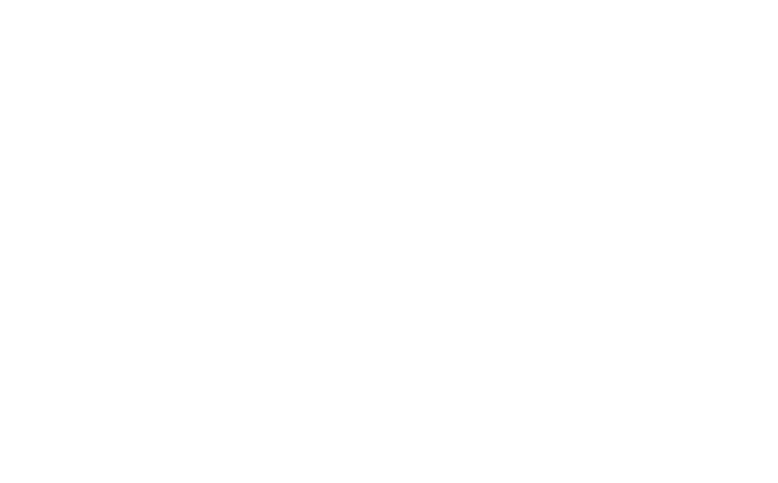All Florida Paper